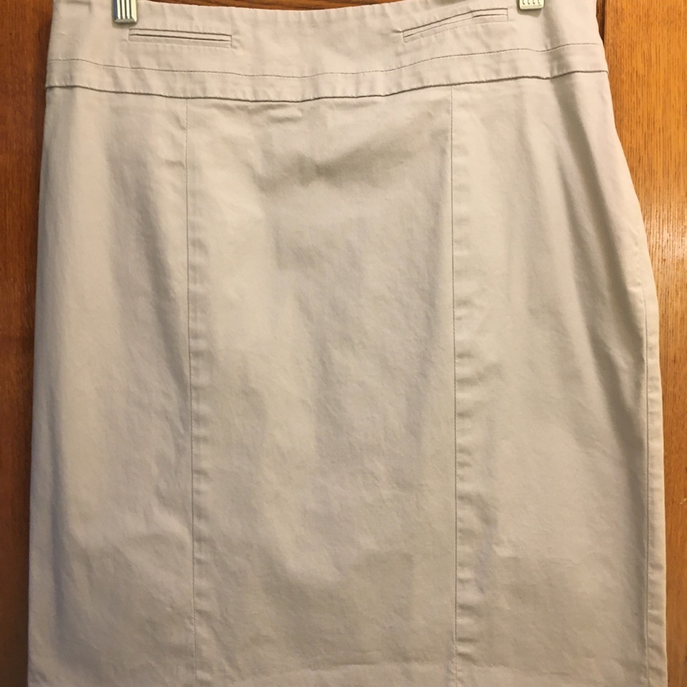 Ann Taylor Loft Pencil Skirt